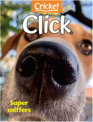 CLICK DERGİSİ