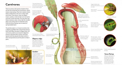 How It Works: Plants