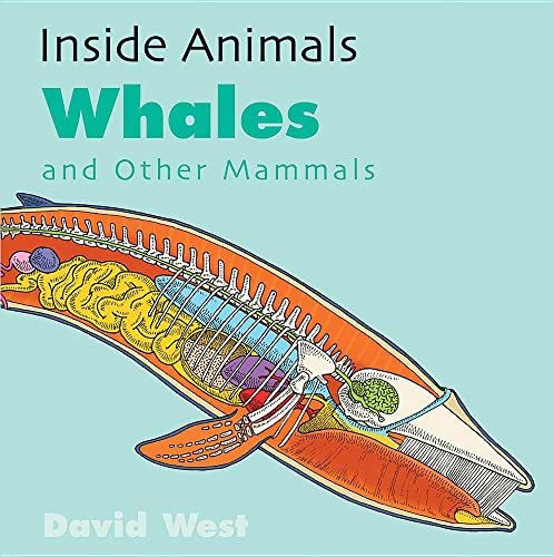 Inside Animals