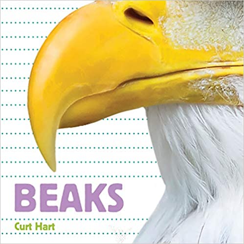 Beaks