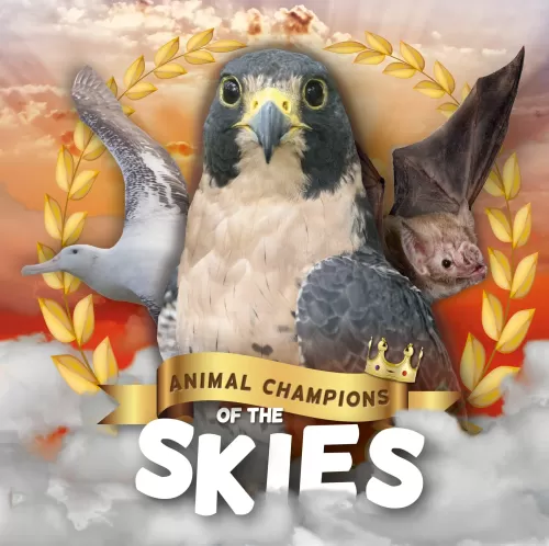 ANIMAL CHAMPIONS OF THE