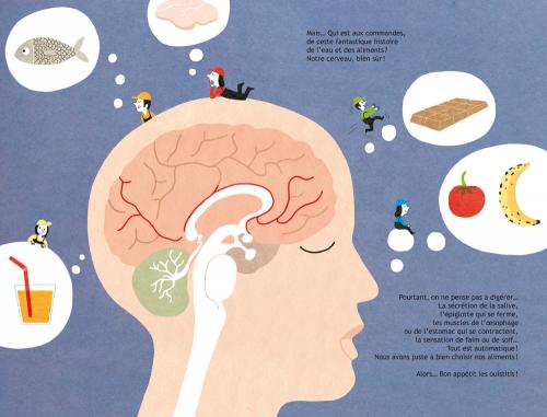 WHAT HAPPENS TO THE FOOD WE EAT? DIGESTION