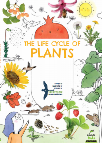 The Life Cycle of Plants